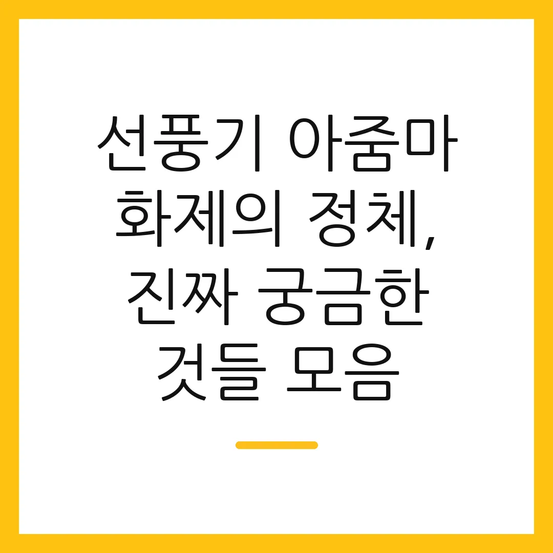 선풍기 아줌마 화제의 정체, 진짜 궁금한 것들 모음